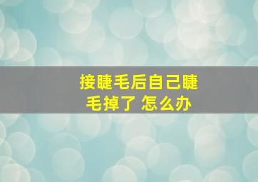 接睫毛后自己睫毛掉了 怎么办